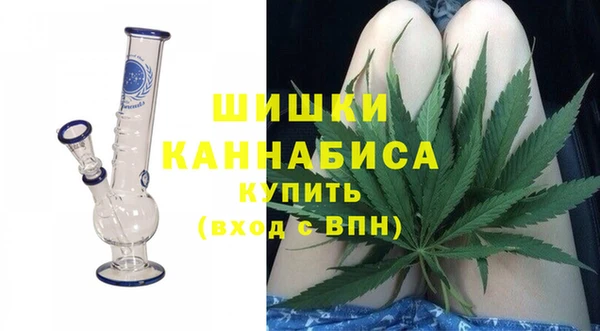 тгк Гусь-Хрустальный