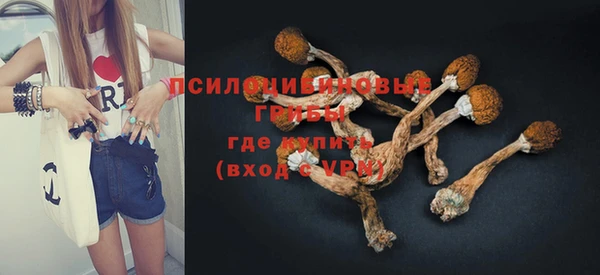 ALPHA-PVP Гусиноозёрск