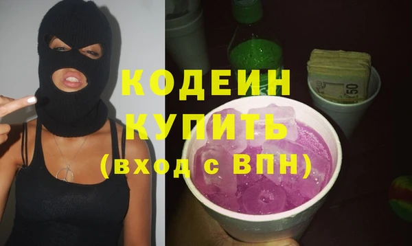 индика Апатиты