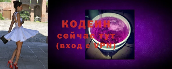 2c-b Гусев