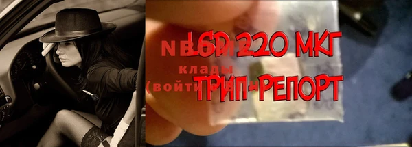 индика Апатиты