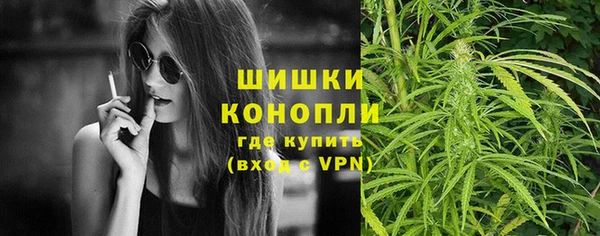 тгк Гусь-Хрустальный