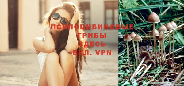 PSILOCYBIN Анива