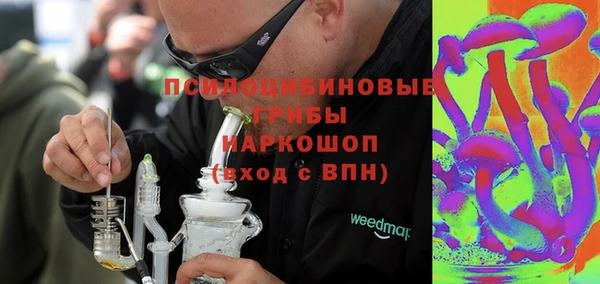 тгк Гусь-Хрустальный