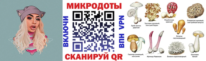 Псилоцибиновые грибы GOLDEN TEACHER  Купить закладки  Дедовск 